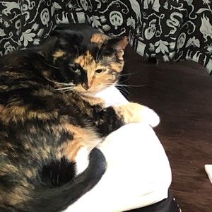 Meet your Posher, Sean